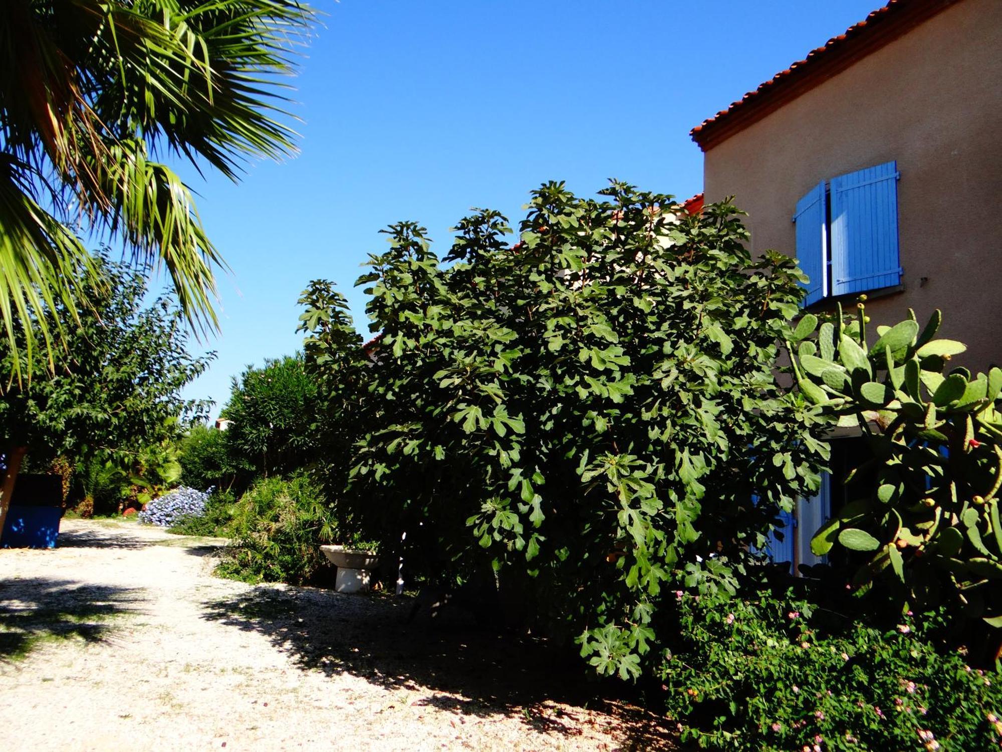 Residence L'Orangeraie-2-Claira 66530 المظهر الخارجي الصورة